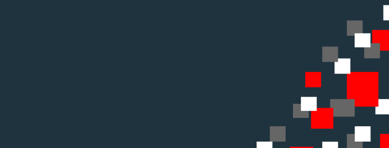 WEB izstrādes projektu vadītājs (Mid-level)