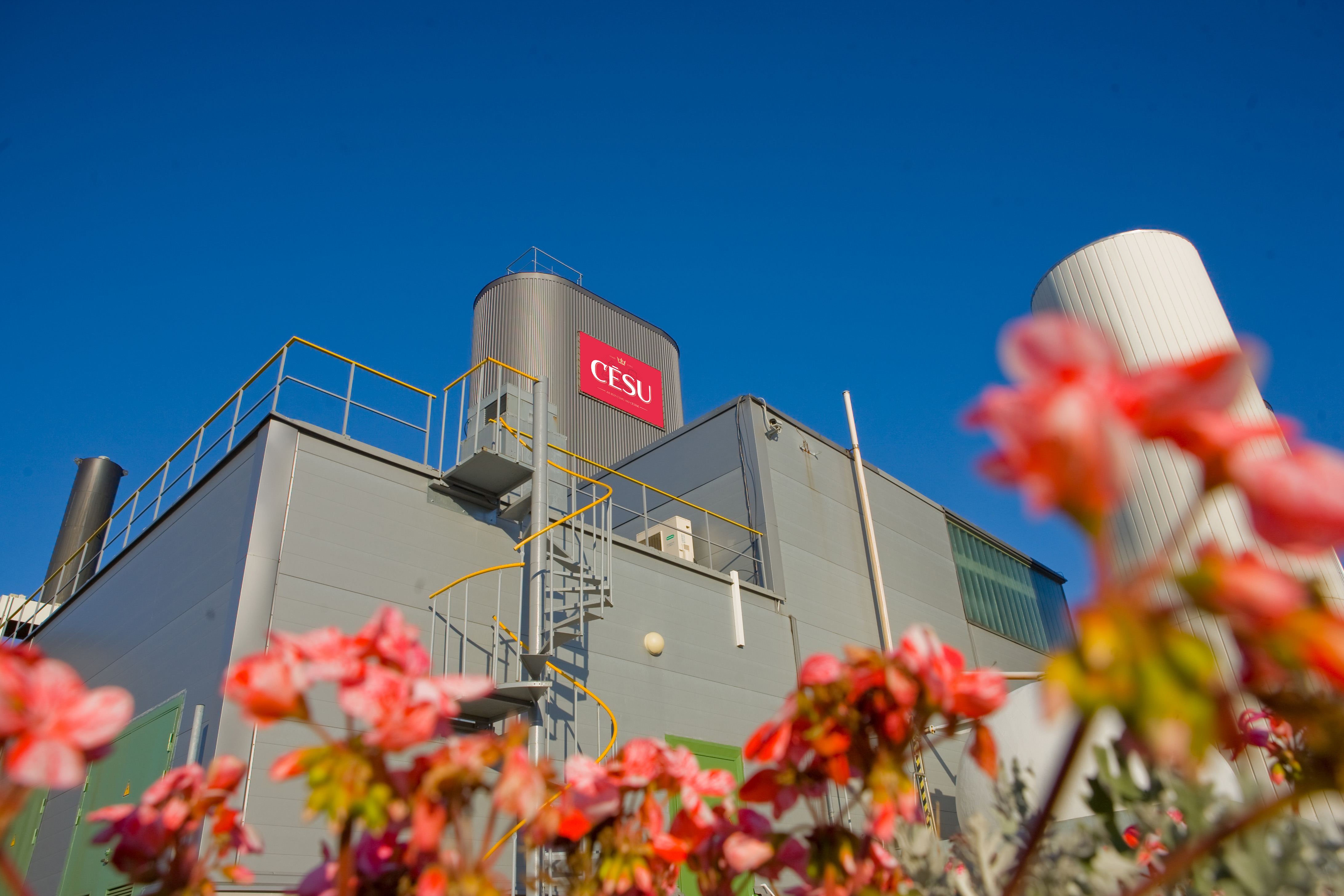 Alus mājas saimnieks/-ce