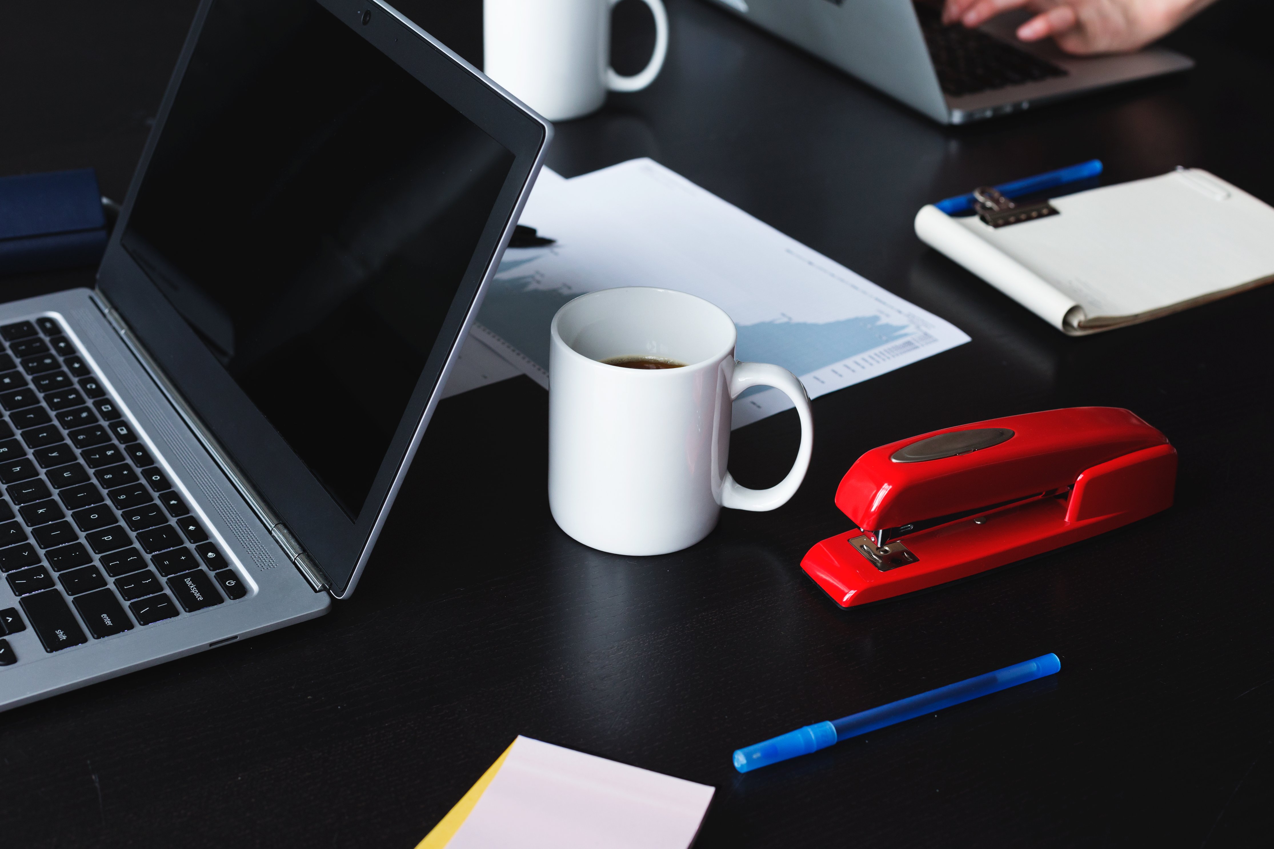 Project Manager / Team Lead