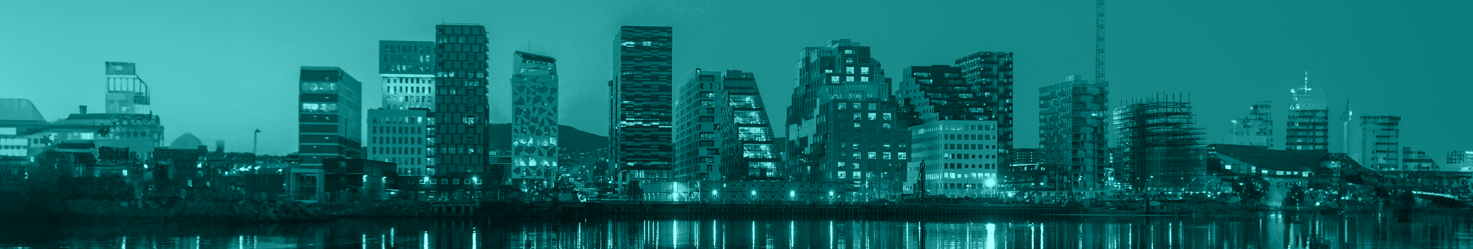 Norwegian speaking transaction processing specialist