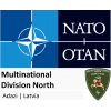 Information Environment Analyst