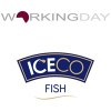 Key Account Manager / Lielo klientu vadītājs/-a