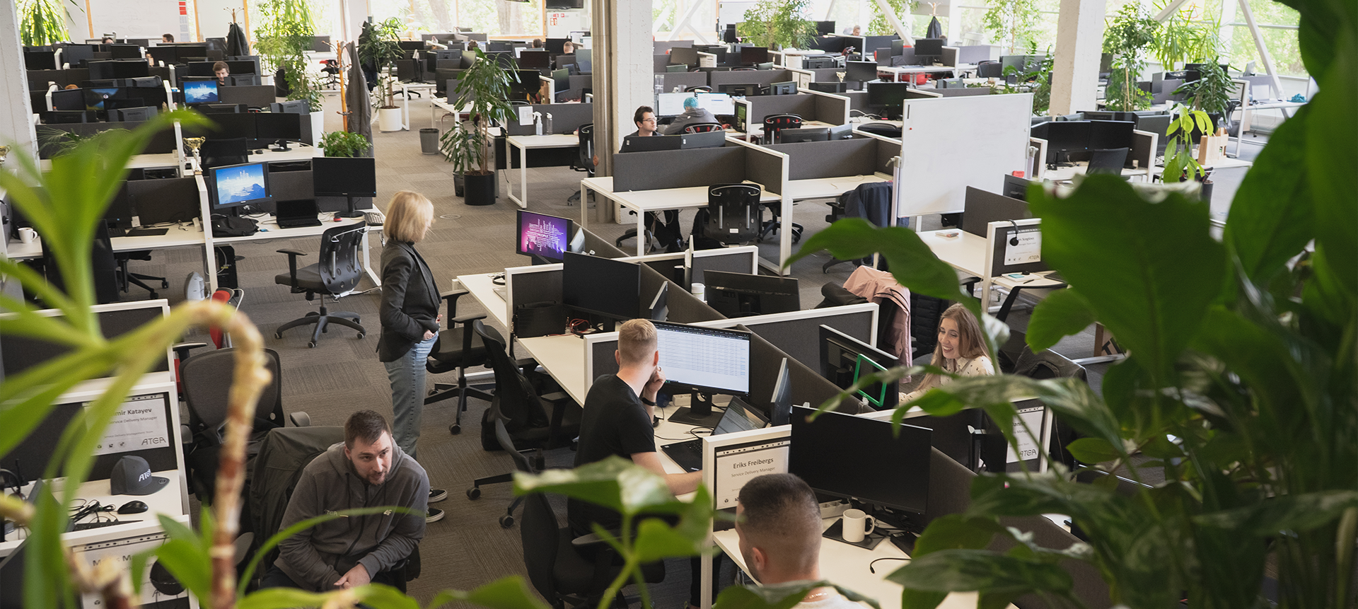 Identity and Access Management (IAM) Architect
