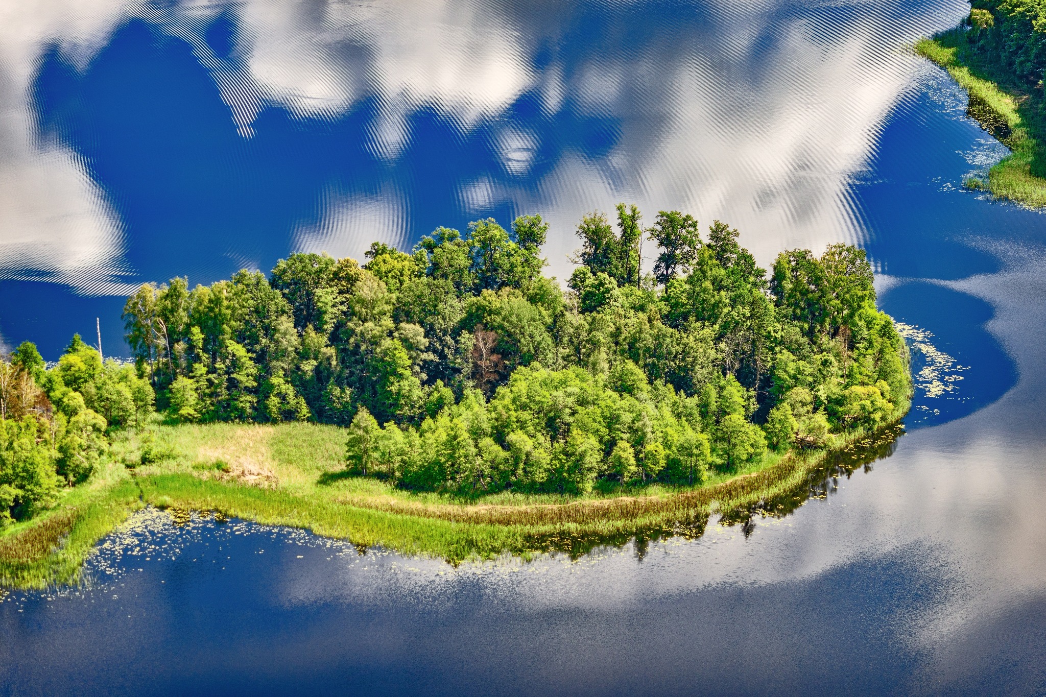 Mārketinga projektu vadītājs