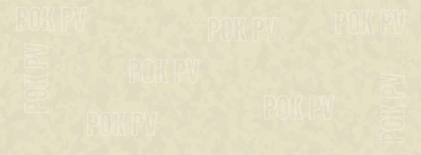 Vecākais militārais instruktors