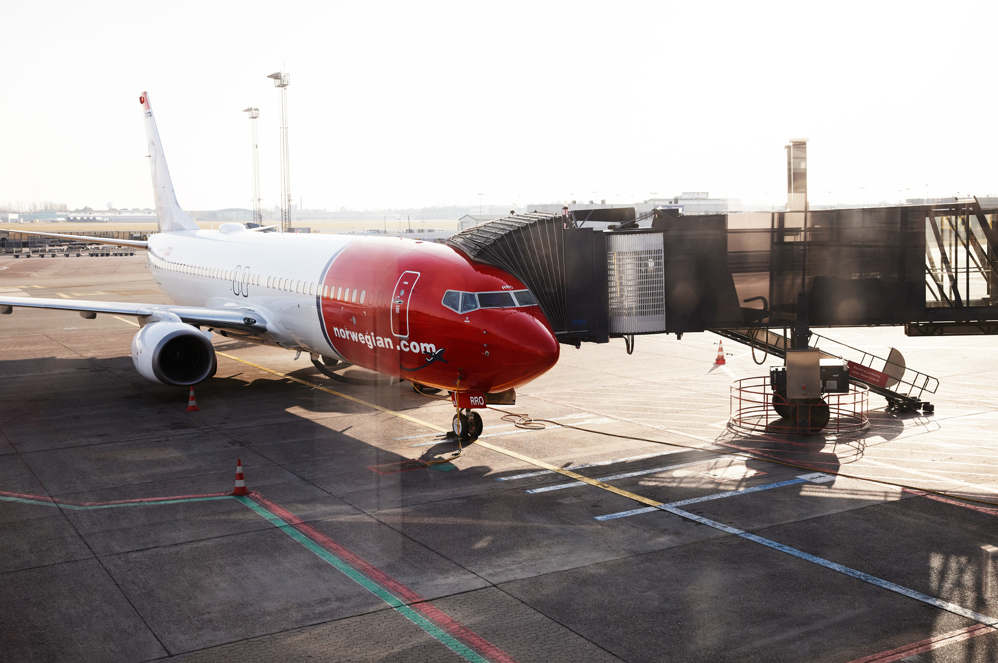 Travel Agency Support Specialist