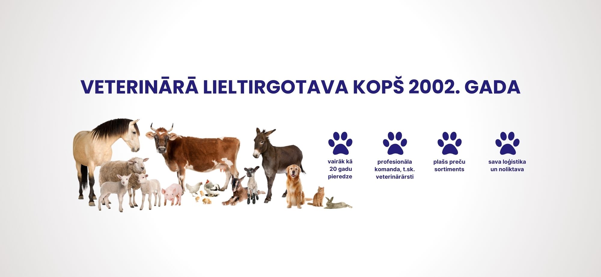 Komercdirektors/-e