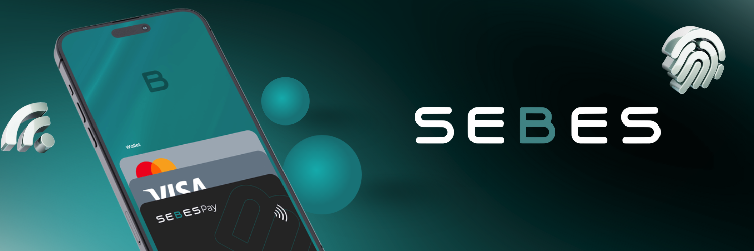 Senior Software Developer