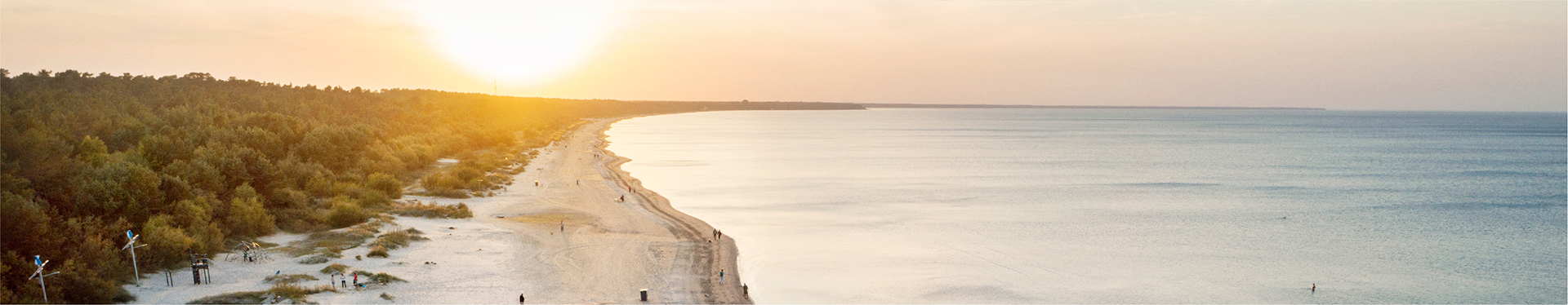 Prevencijas un reaģēšanas nodaļas priekšnieks/-ce