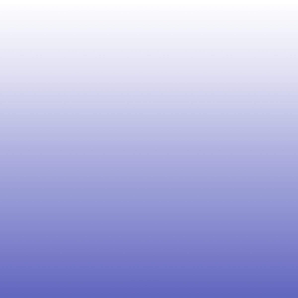 Senior IT Technical Support Specialist