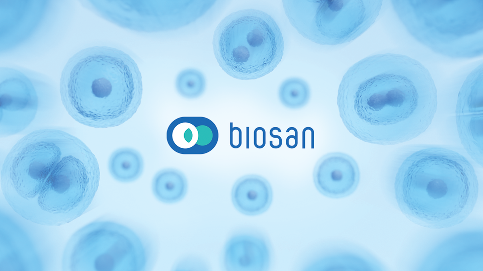 Projektu vadītājs/-a