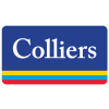 Junior Consultant