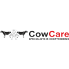 Sales Team Lead
