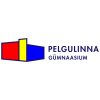 Tugimeeskonna juht