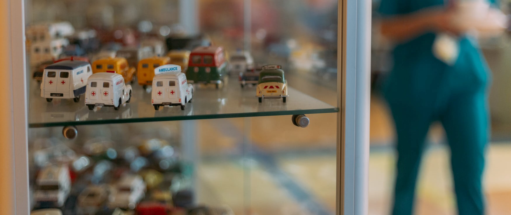 Biobankas vadītājs - pārzinis