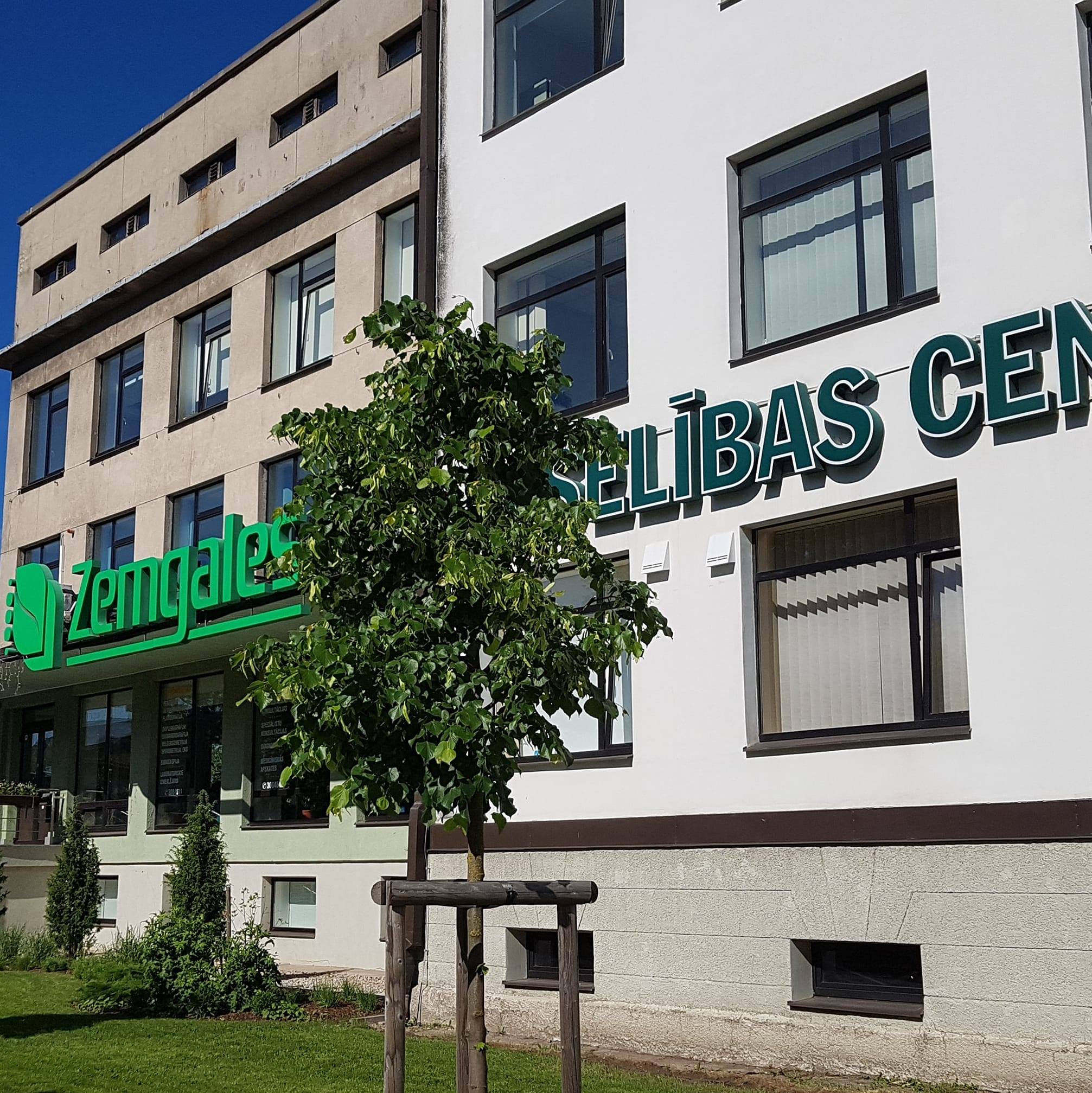 Saimniecības daļas vadītājs/-a