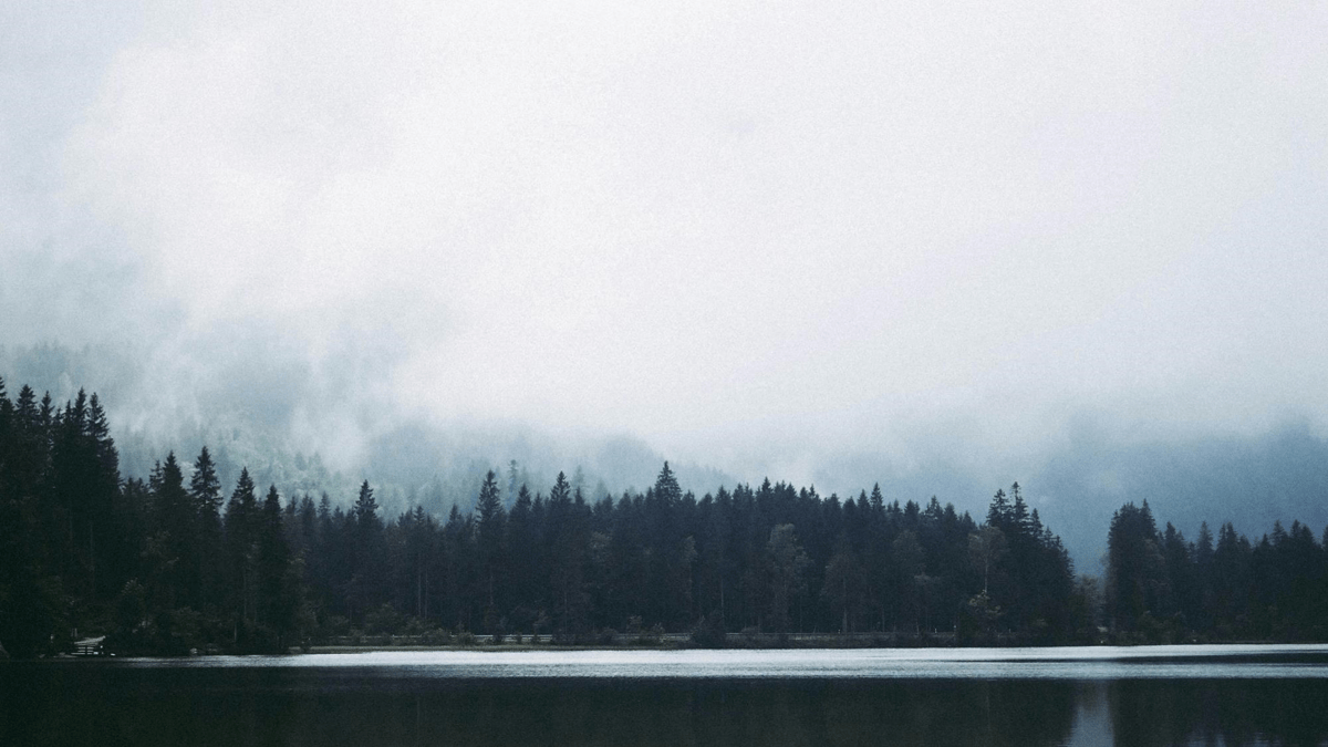 Ražošanas projektu vadītājs/-a