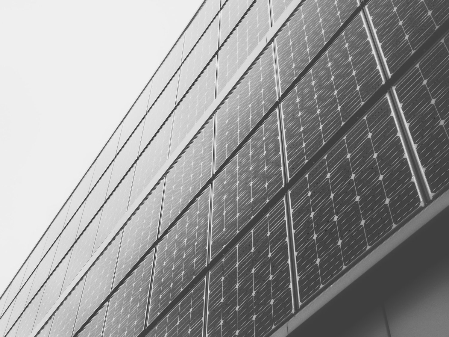 Projektu vadītājs/-a (Lielo klientu un regulēšanas jomā)
