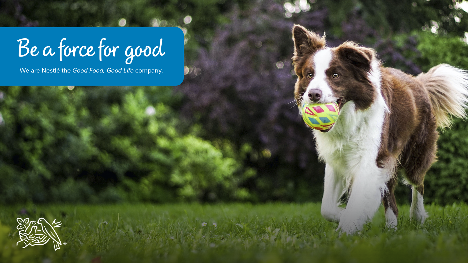 Category Development Analyst