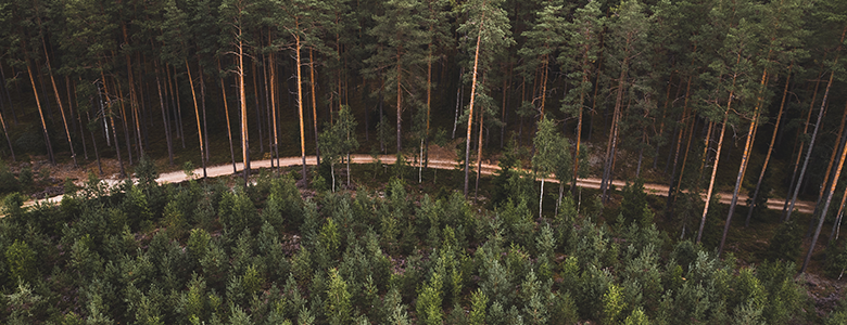 Pārdošanas datu speciālists/-e darbam uz noteiktu laiku