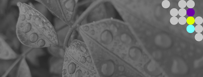 Darba aizsardzības speciālists/-e