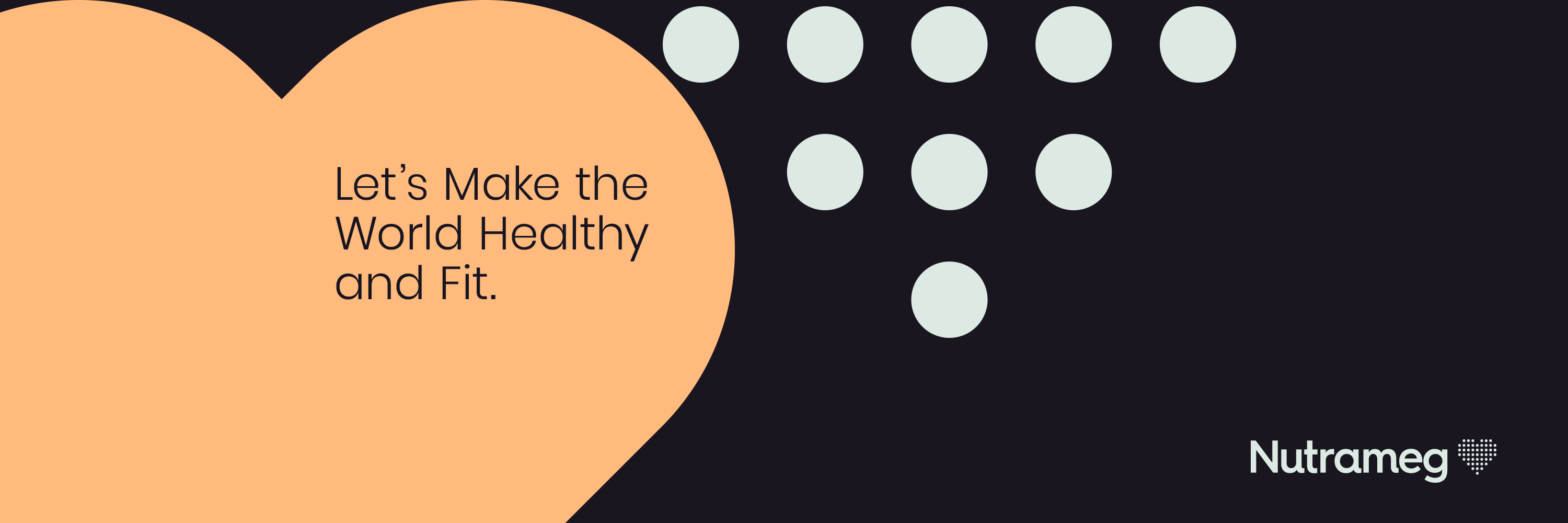 BI developer/Data technical project manager