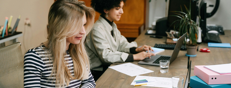 Junior New Product Development Project Manager