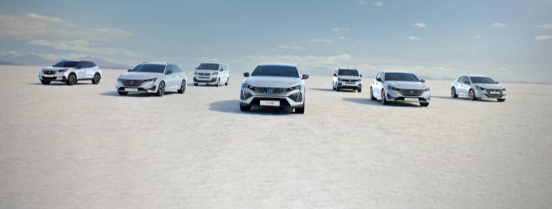 Virsbūves servisa pieņēmējs/-a