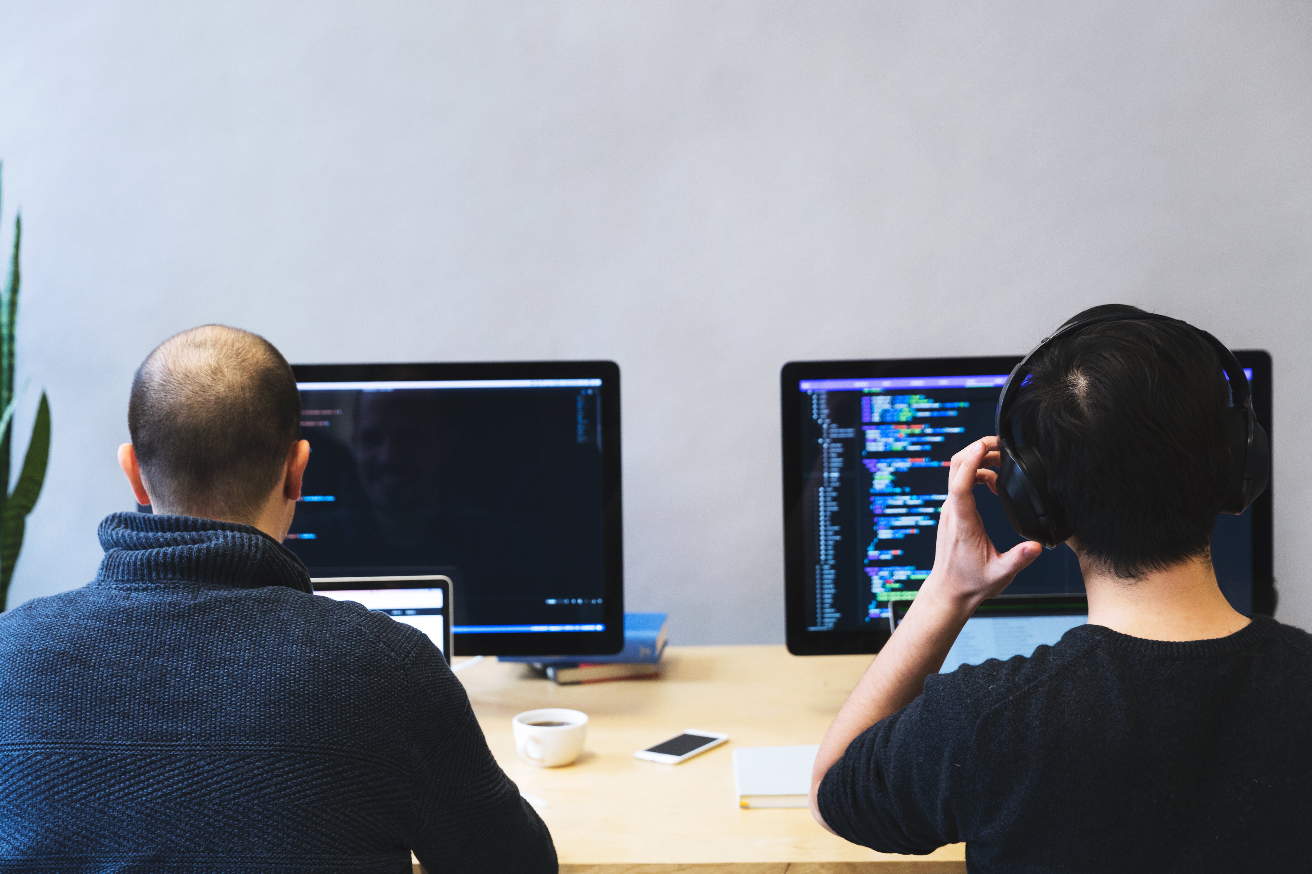Security System Developer