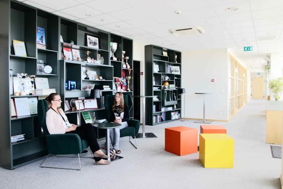 Accountant in Fixed Assets Team