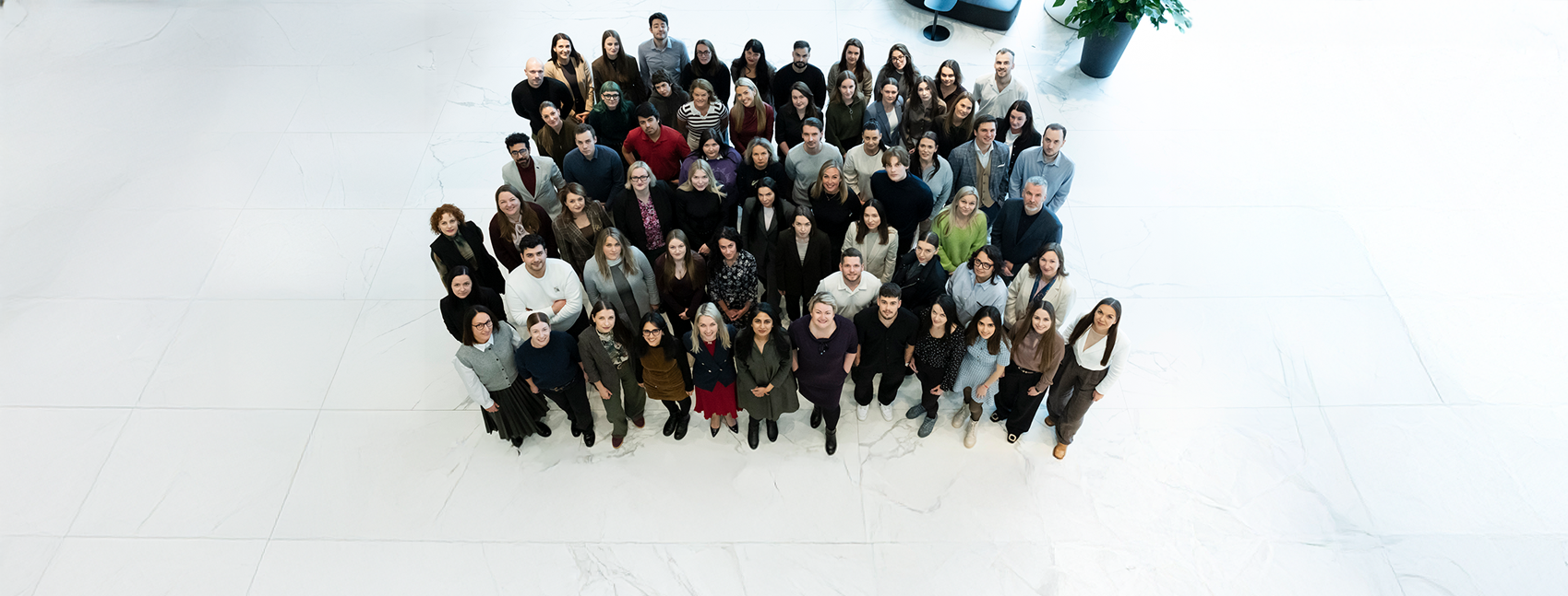 Senior Automation Developer